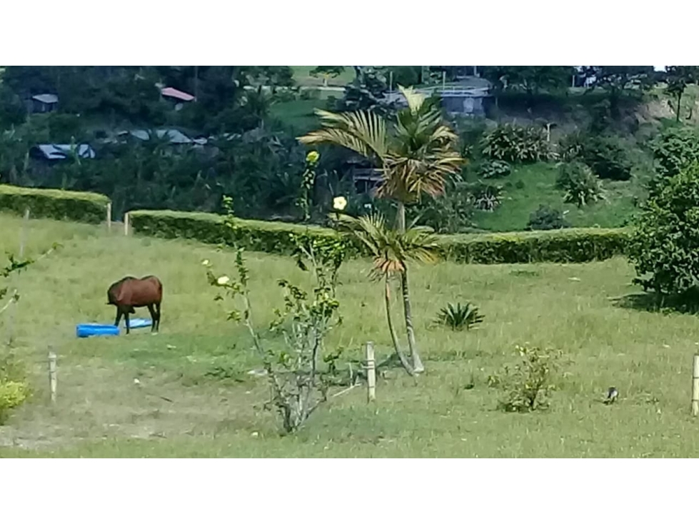 Fabuloso lote en condina para proyecto de viviendas. — foto 4