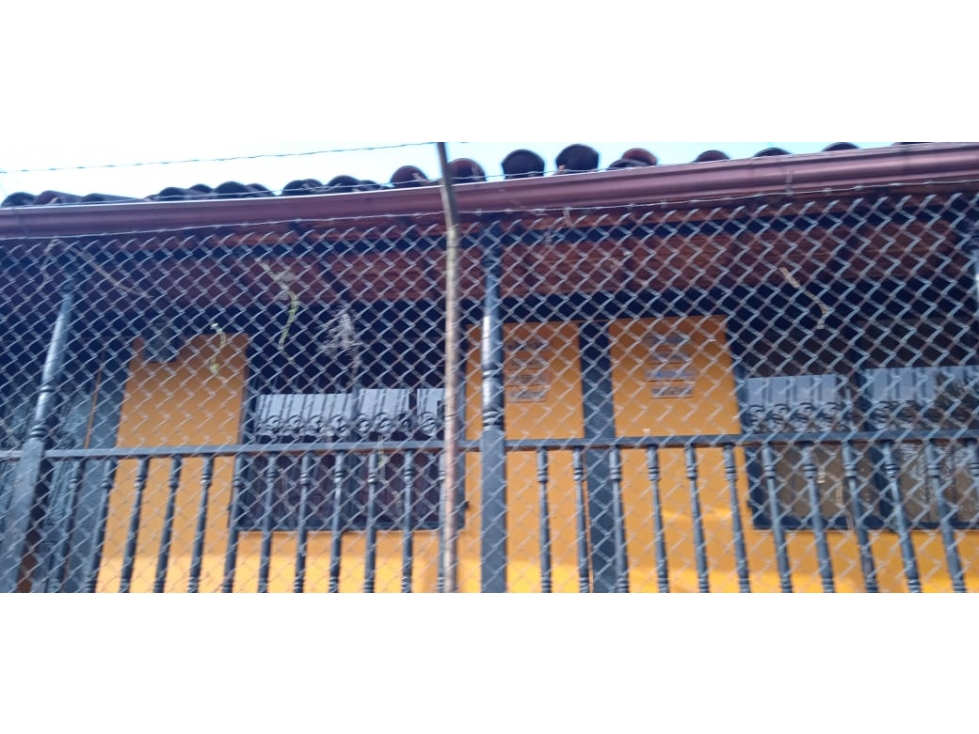 Se Vende Finca abordo de carretera en Ulloa Valle - 6