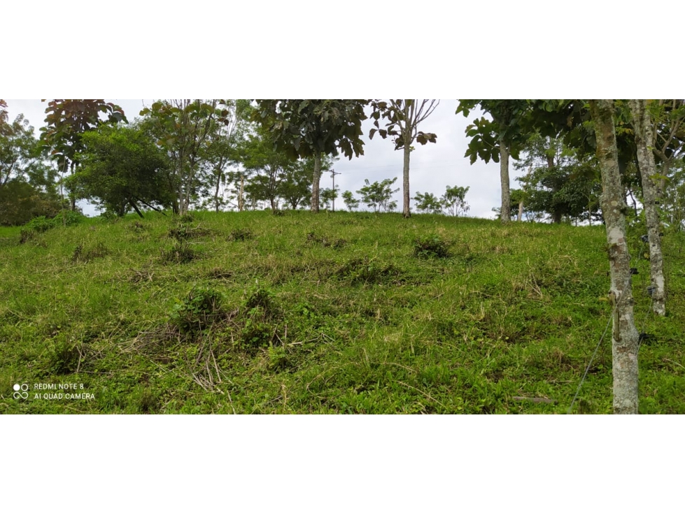 SE VENDEN LOTES EN ARABIA AREAS DESDE 1100 M2 HASTA 8798 M2 — foto 4