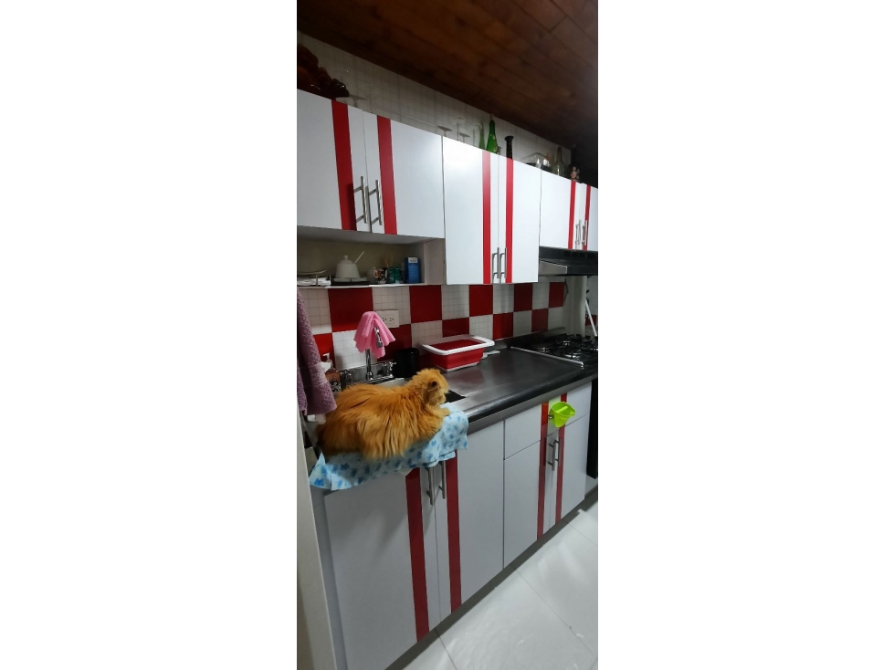 SE VENDE APARTAMENTO EN EL CENTRO CON ASCENSOR PARQUEADERO DOBLE — foto 6
