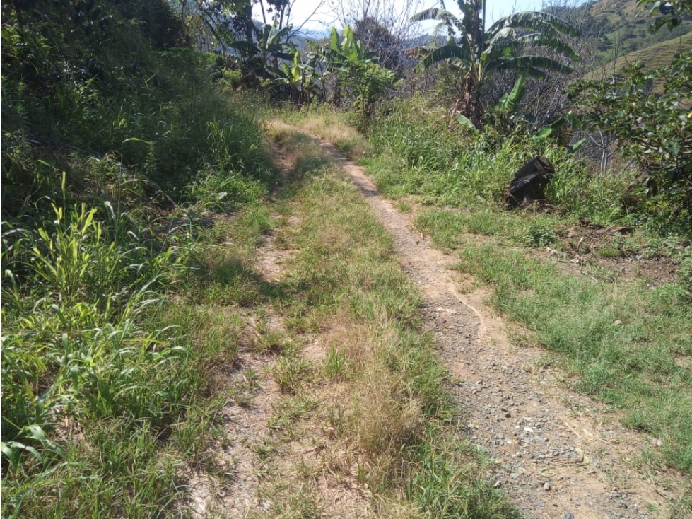 Espectacular terreno para una futura finca turistica Anserma Caldas - 4