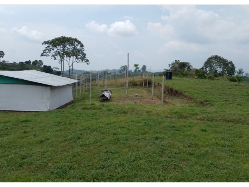SE VENDE LOTE EN EL SECTOR LA BELLA — foto 5