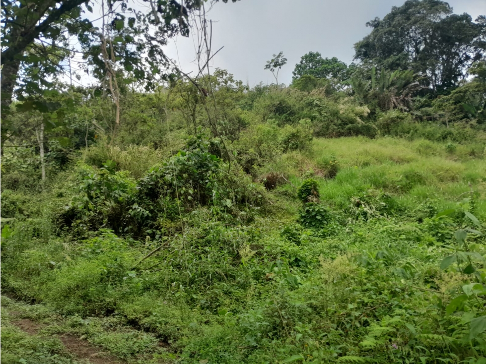 VENDE LOTE POR LA BANANERA LA FLORIDA AREA 2 CUADRAS PENDIENTE POCO — foto 3