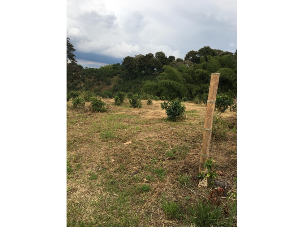 SE VENDE LOTE EN ARAVIA A 5 MINUTOS DE VIA PRINCIPAL — foto 3