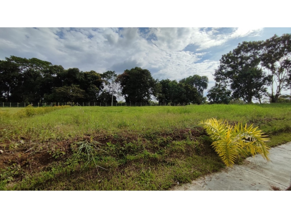 Se Vende Lote Totalmente Plano en Cerritos entrada El Tigre — foto 4