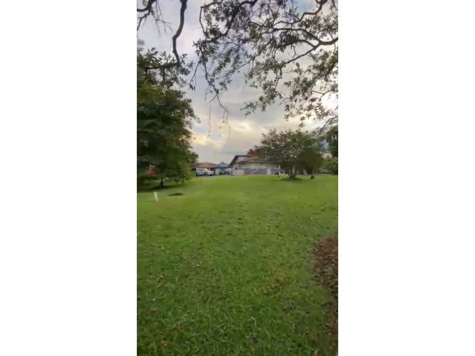 Hermoso lote 10.000 mts2. En Cerritos a 25 mts de la via principal — foto 6