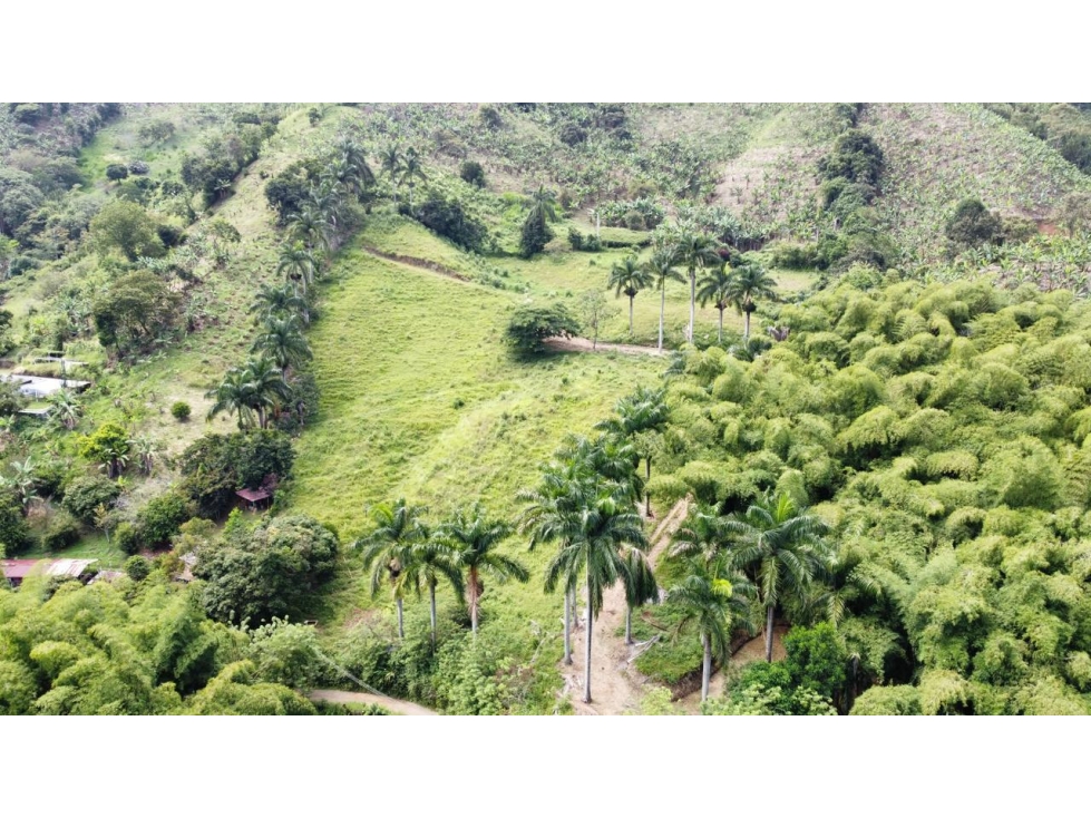 Estupendo lote para la venta por Combia via a Marsella — foto 3