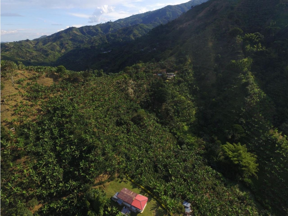 SE VENDE FINCA EN BELEN DE UMBRIA - 3