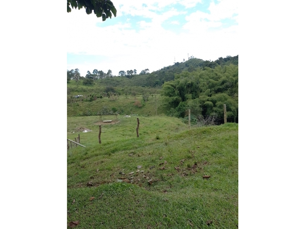 SE VENDE LOTE COMBIA DE 11.800 METROS CUADRADOS — foto 3