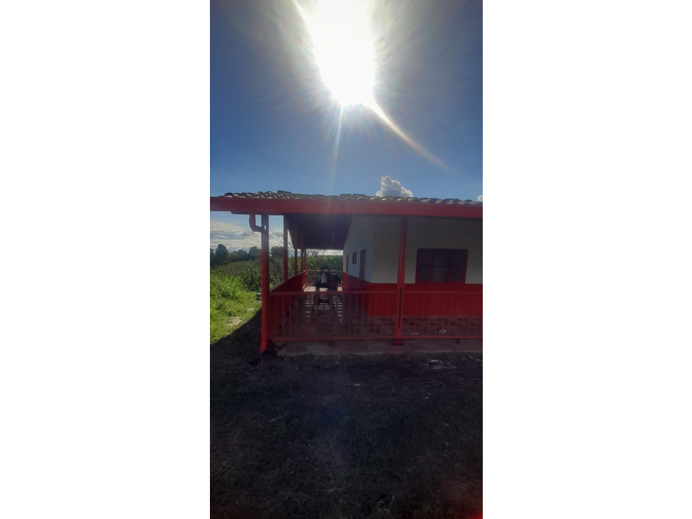 SE VENDE CASA CAMPESTRE VEREDA LA BAMBA — foto 3