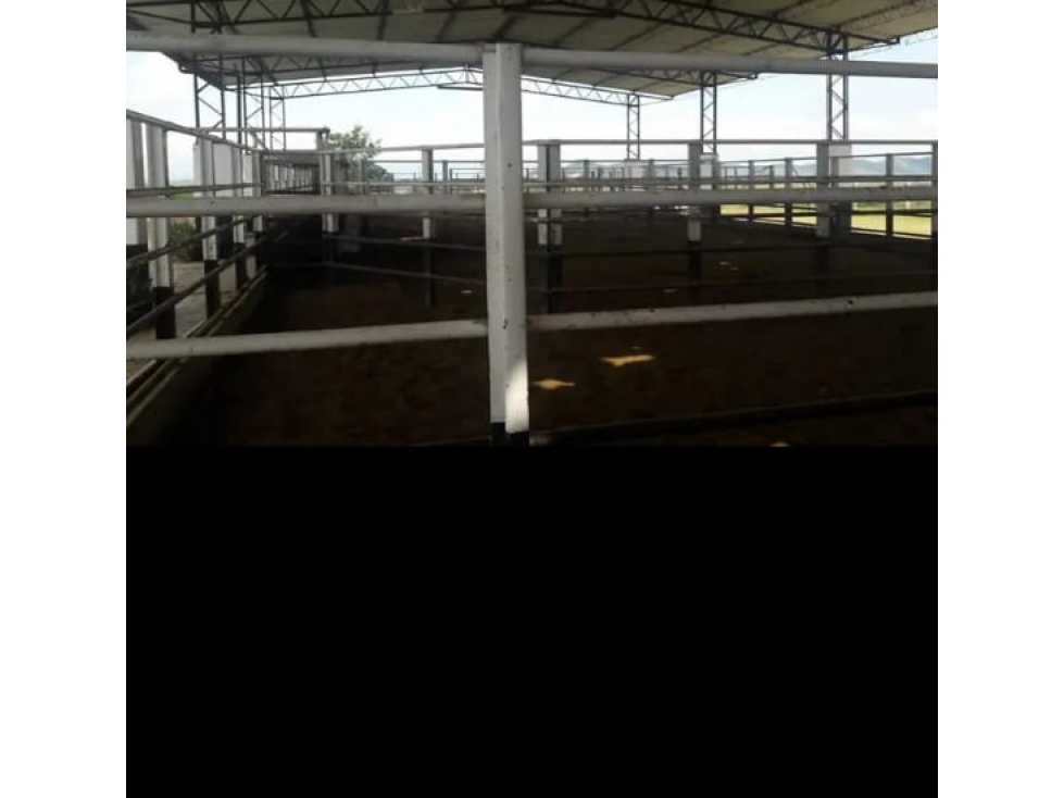 Venta de excelentes terrenos en el mejor lugar de Combia 214 cuadras — foto 3