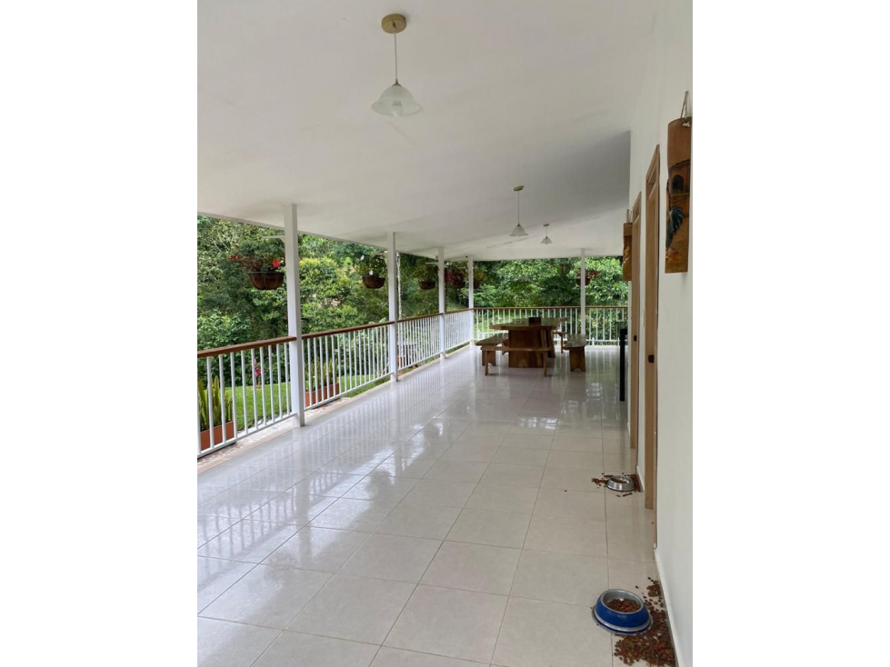 SE VENDE FINCA DE 25.000 METROS CUADRADOS A BORDE DE CARRETERA — foto 3