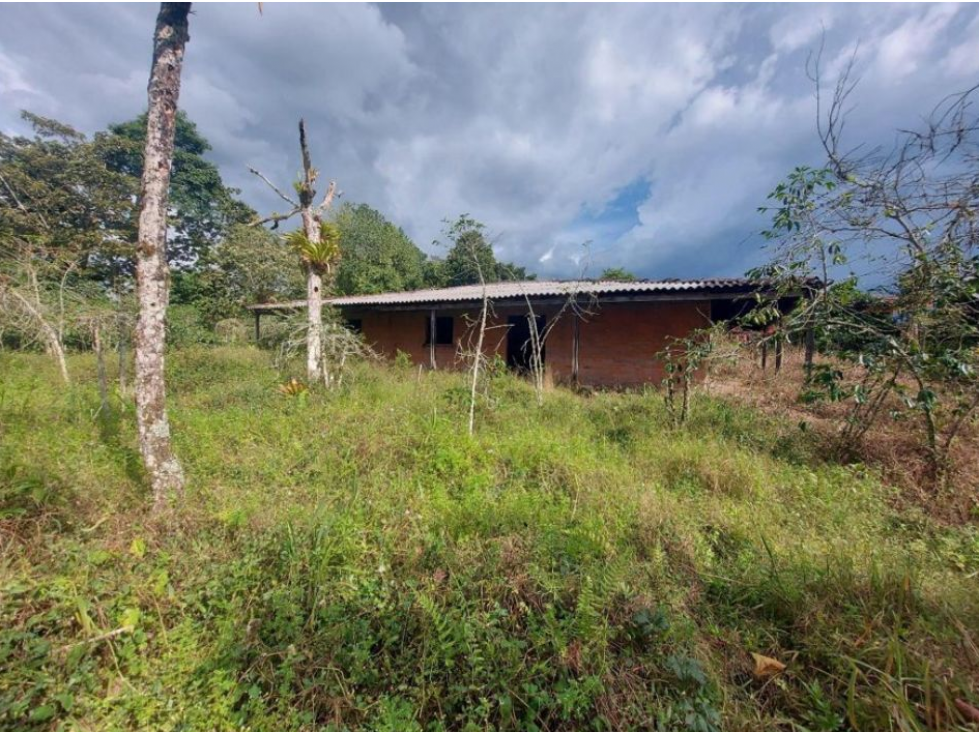 SE VENDE FINCA VIA ARMENIA AREA 15.000 M2 EXCELENTE UBICACION — foto 2