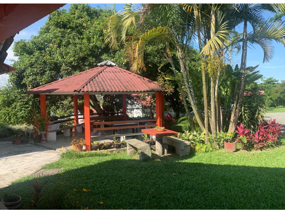 SE VENDE FINCA VIA CONDINA — foto 3