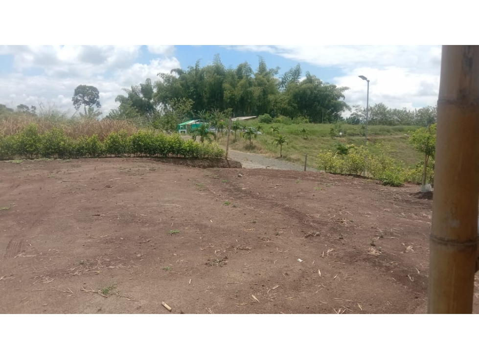 SE VENDE O PERMUTA LOTE EN PARCELACION EN LA PALMILLA — foto 3