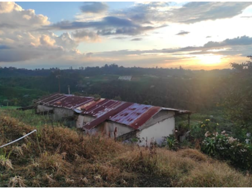 SE VENDE FINCA EN LA FLORIDA, VEREDA COLONIA CERCA A PEREIRA — foto 3