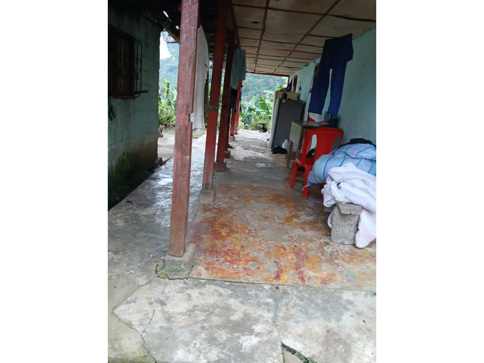 Se vende Finca Agrícola en Anserma Caldas a 20 Minutos del pueblo - 3