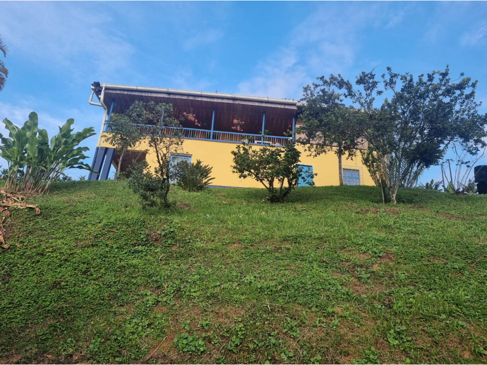 Se Vende Finca en Combia 10 cuadras con cultivo — foto 3