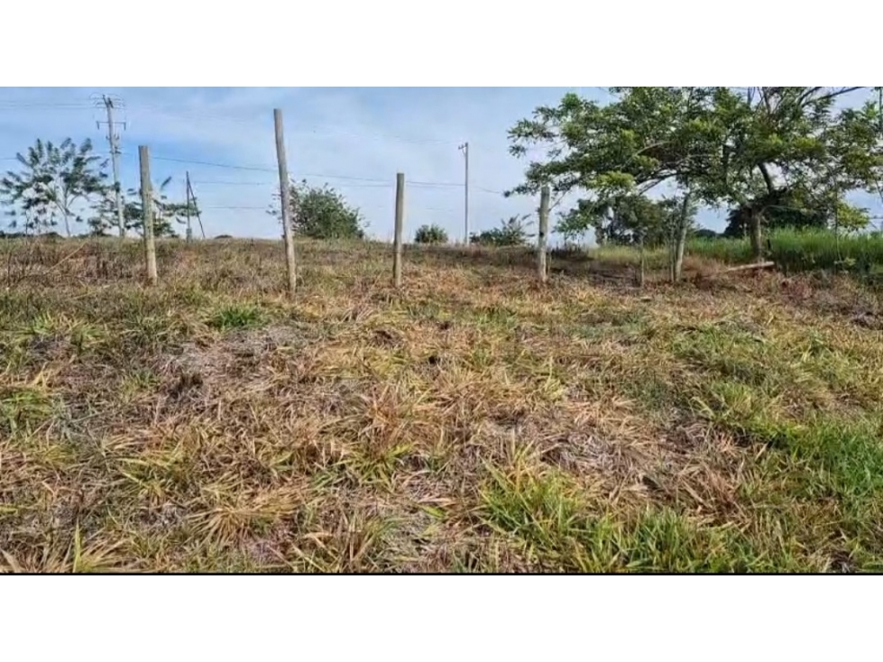SE VENDE O PERMUTA LOTE EN PARCELACION CERCA DE ALCALA AREA 2500M2 — foto 3