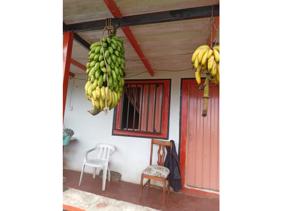 Vendo hermosa finca cafetera platanera y frutales agua propia - 3