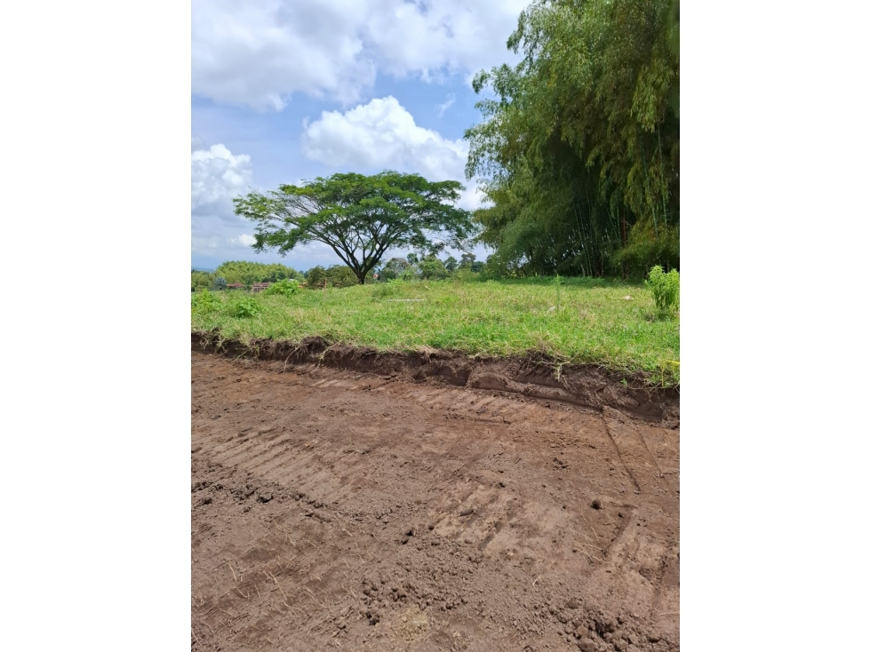 Se venden lotes campestres? desde 1.250 m² en Alcalá — foto 2