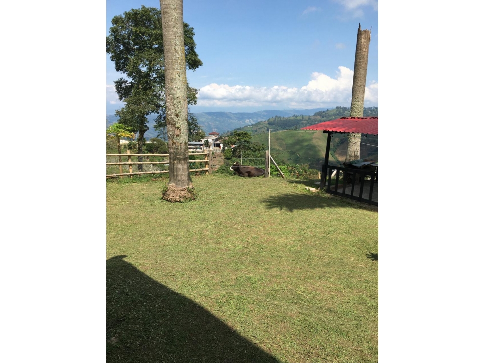 SE VENDE O SE PERMUTA FINCA VIA MARSELLA EXCELENTE UBICACIÓN - 3