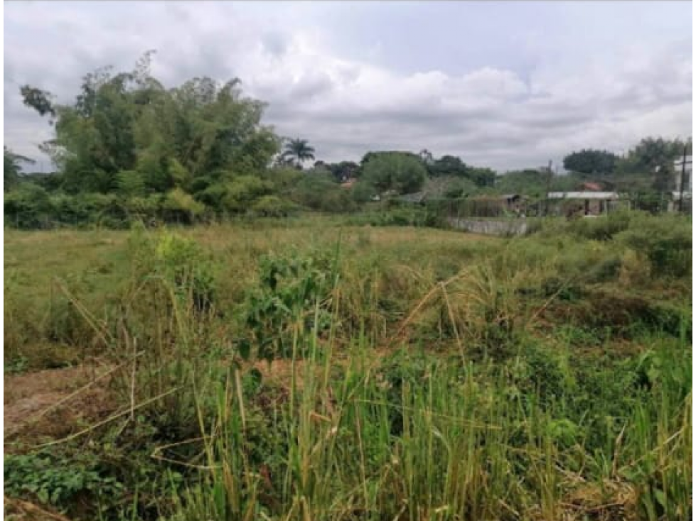 SE VENDE ESPECTACULAR LOTE PLANO CERRITOS — foto 3