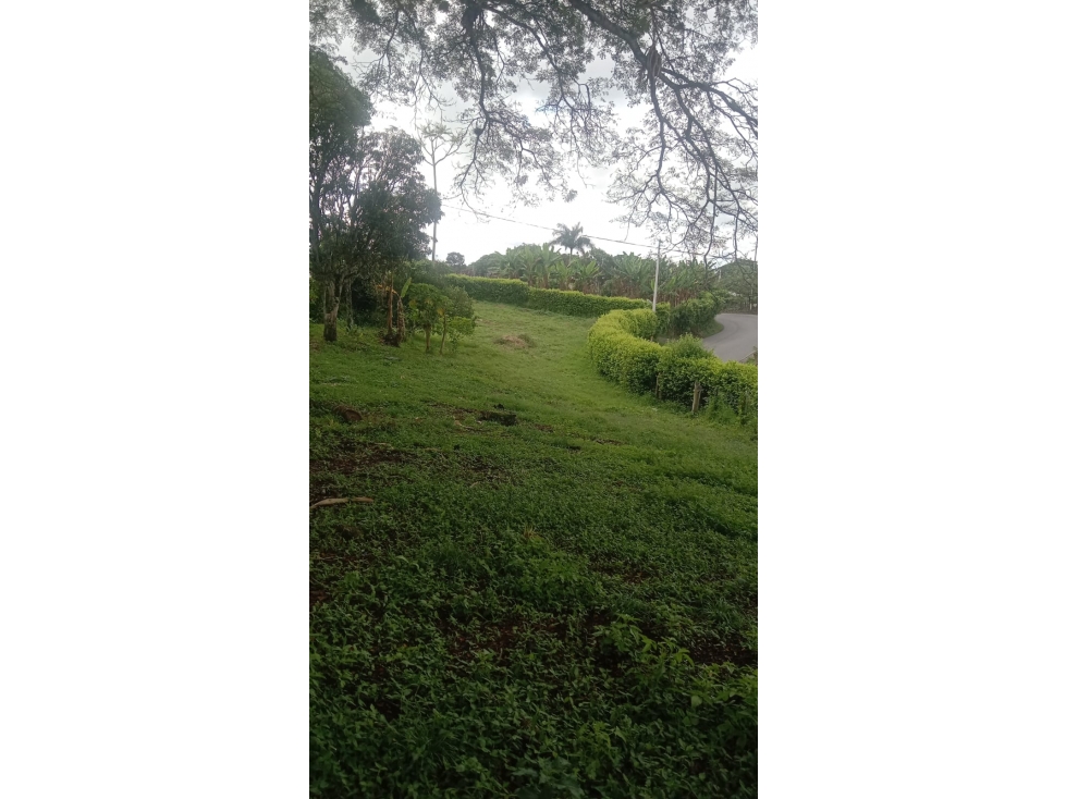 SE VENDE LOTE CON CASA SOBRE VIA PRINCIPAL ENLA PALMILLA — foto 3