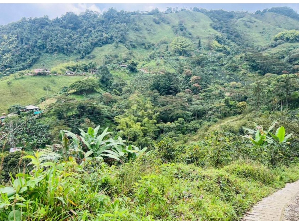 Se vende espectacular Finca Cafetera a 15 min de Santa Rosa de Cabal
