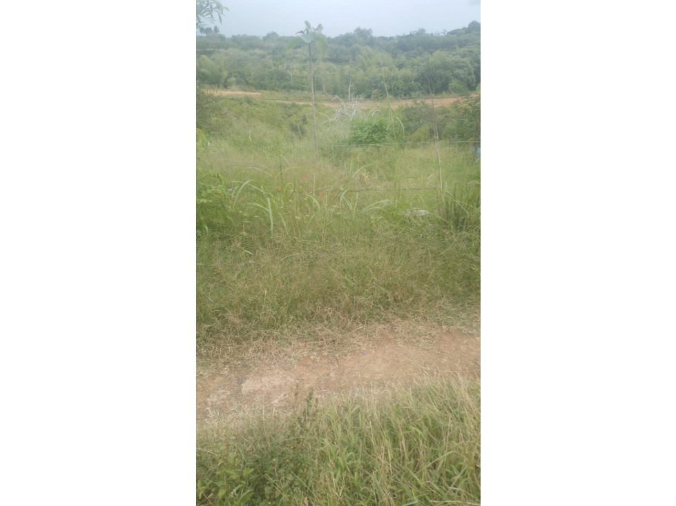 SE VENDE LOTE EN CERRITOS EN LAS CARMELITAS — foto 3