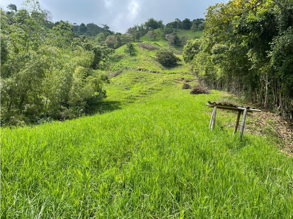 SE VENDE FINCA VEREDA LA HONDA EN COMBIA — foto 3