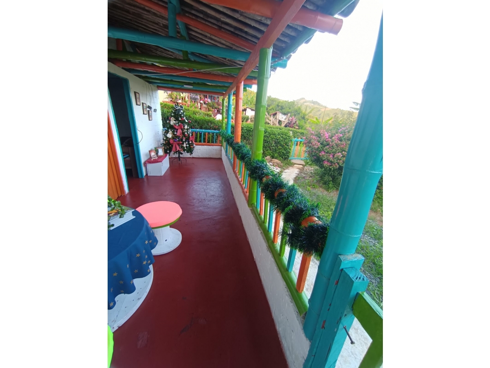 SE VENDE CASA CAMPESTRE EL VERGEL ALTO ANSERMA CALDAS - 3