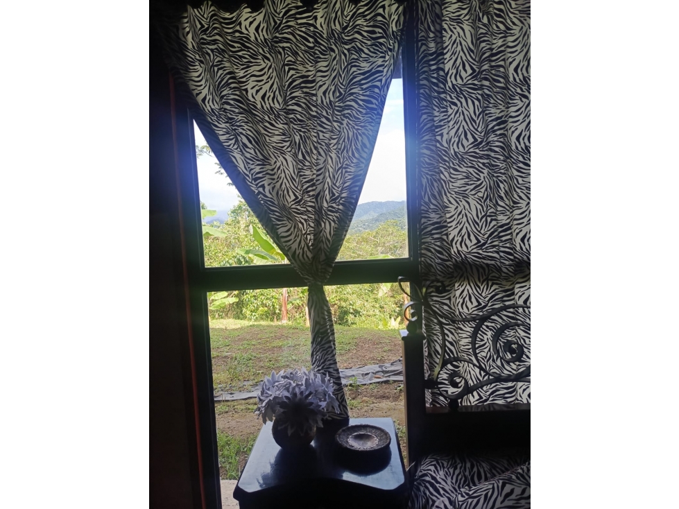 Se vende casa finca en La Florida Pereira — foto 4