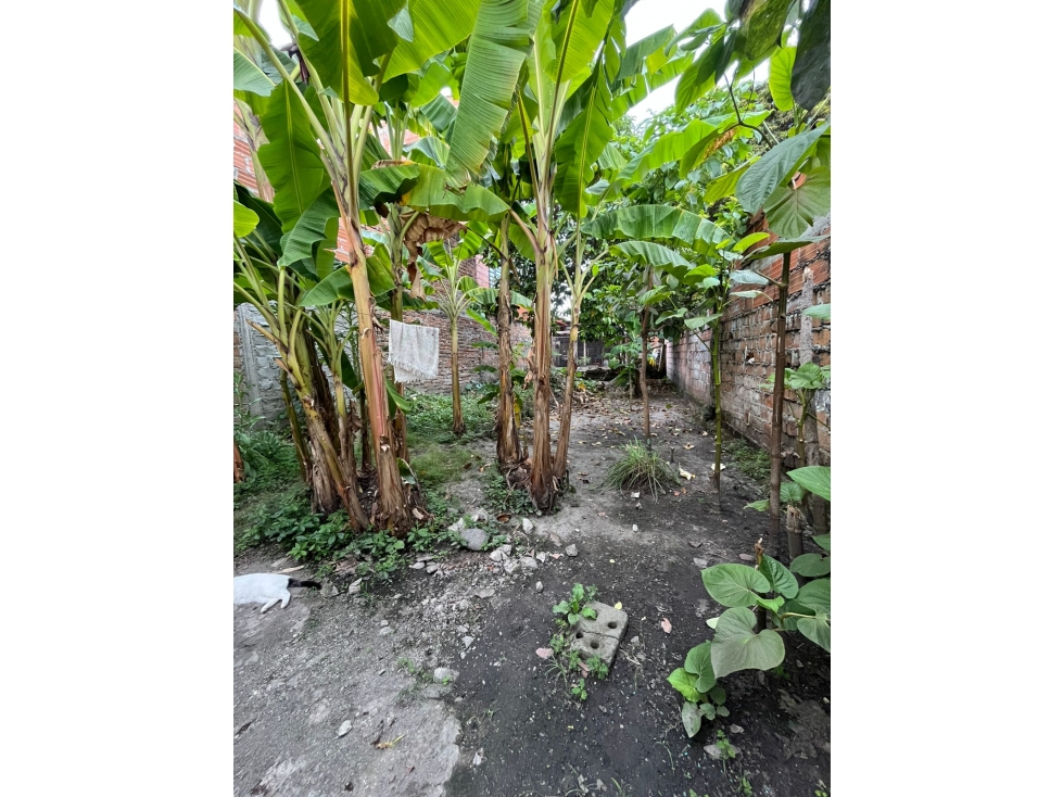 GRAN OPORTUNIDAD SE VENDE CASA LOTE EN CARTAGO EXCELENTE UBICACIÓN — foto 3