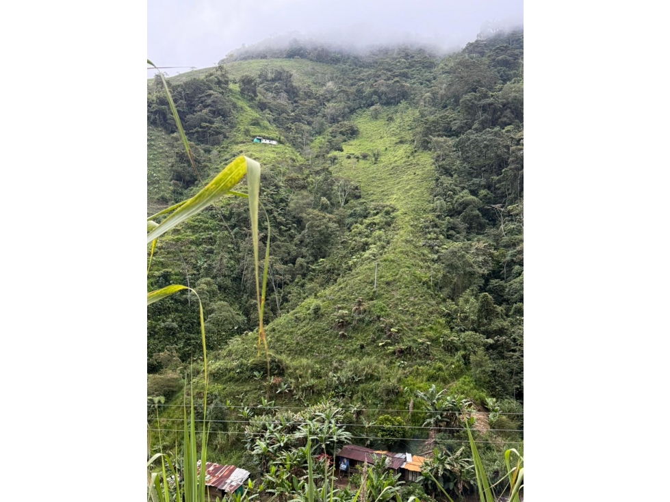 Se venden 2 fincas juntas en Pueblo Rico - 3