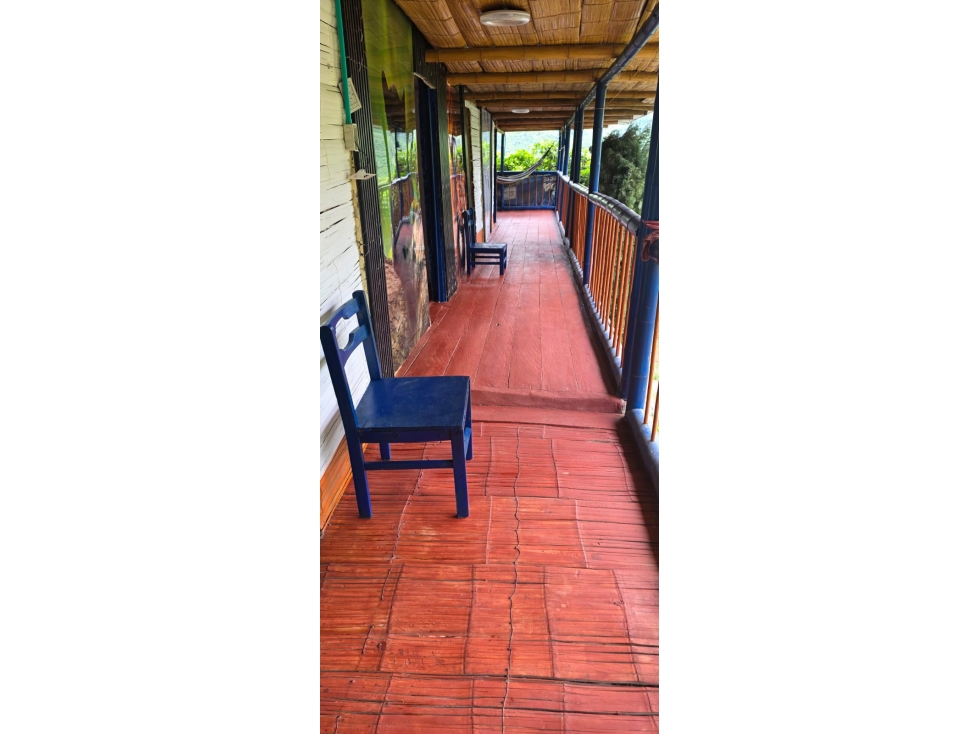SE VENDE O PERMUTA FINCA VEREDA LAS TAZAS CERCA A MARSELLA - 3
