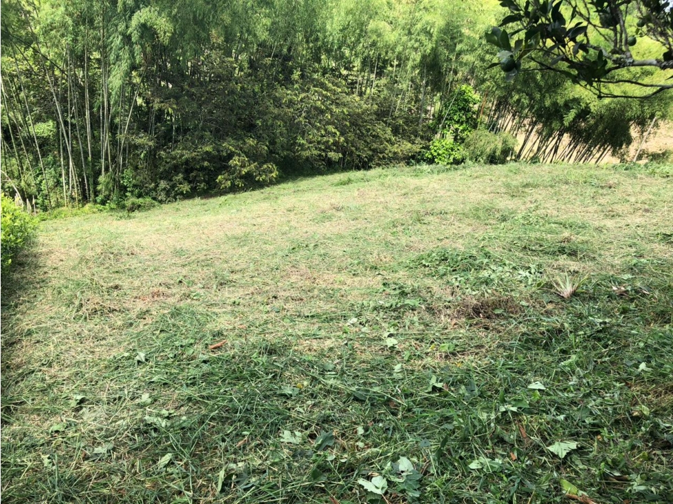 Se vende lote campestre en Parcelación Via Alcala — foto 3