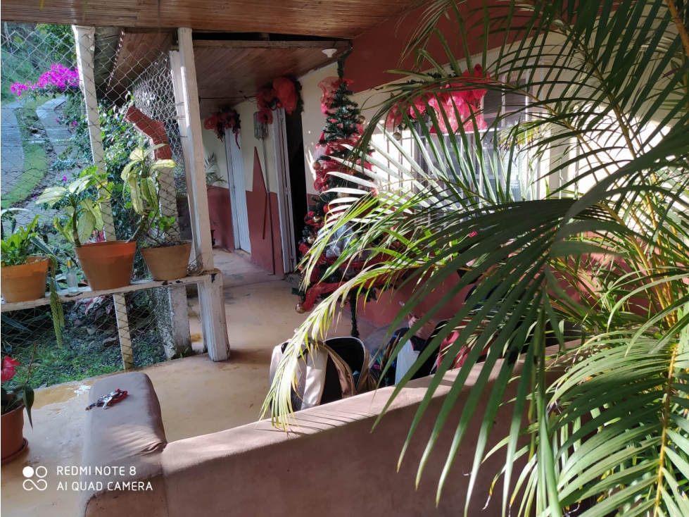 Se Vende Finca Cerca Al Crucero De Combia En Pereira — foto 3
