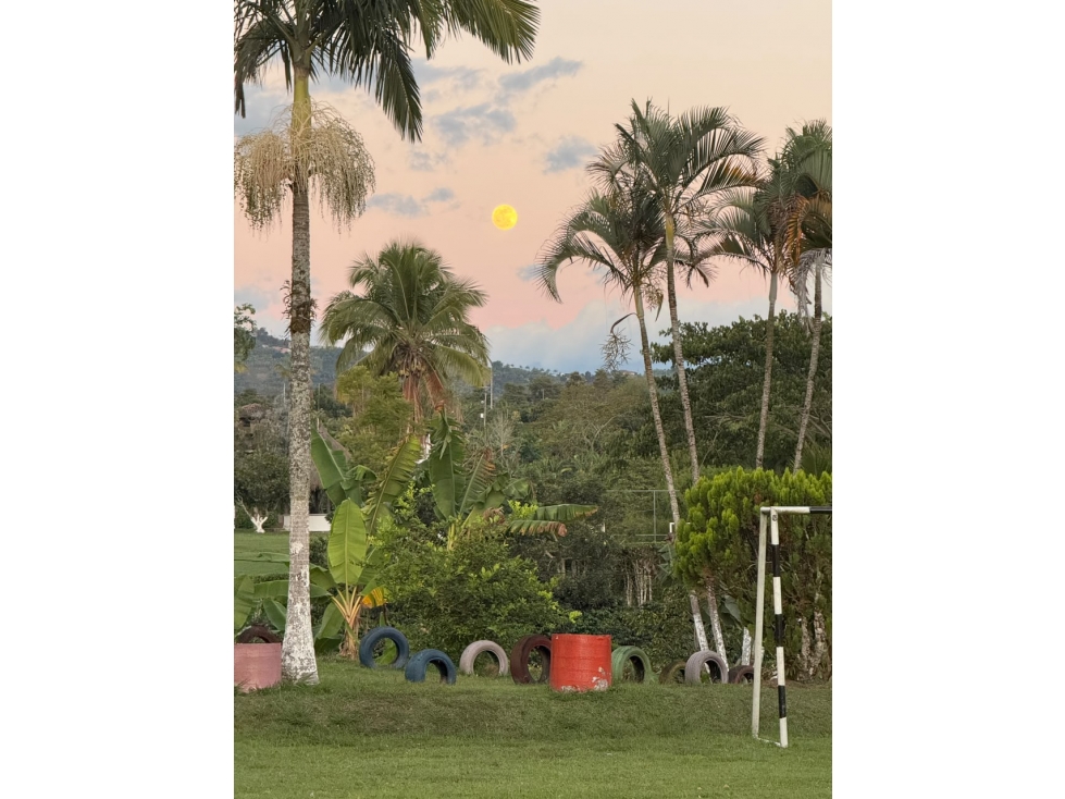 SE VENDE CASA CAMESTRE EN MORELIA AREA LOTE 7250 M2 — foto 4