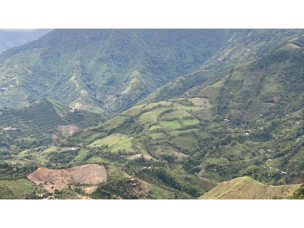 se vende finca ganadera en balboa risaralda - 3