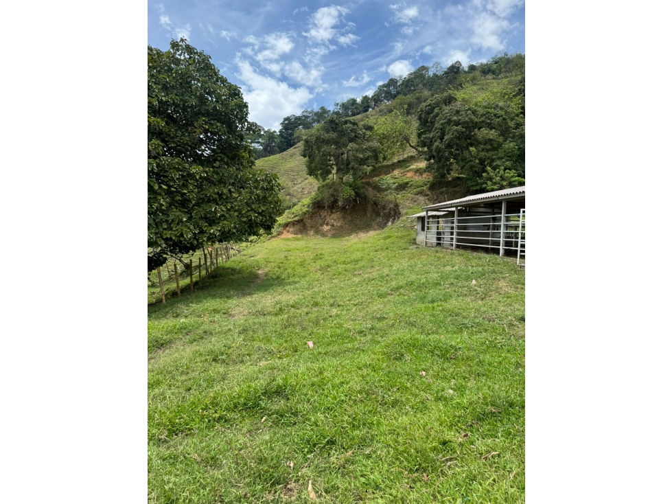SE VENDE FINCA VIA BELALCAZAR CALDAS — foto 3