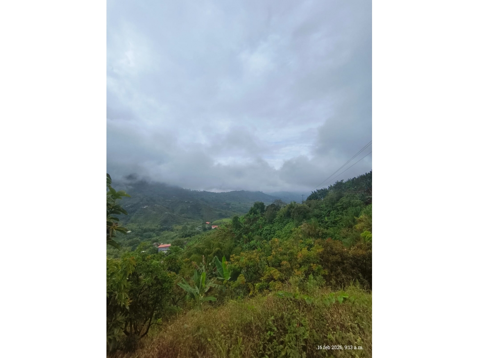 SE VENDE FINCA PRODUCTIVA EN COMBIA — foto 4