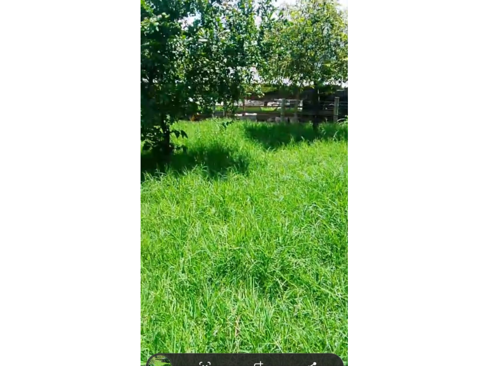 SE VEND LOTE EN CUBA PARA URBANIZAR AREA 42.000 M2 - 3