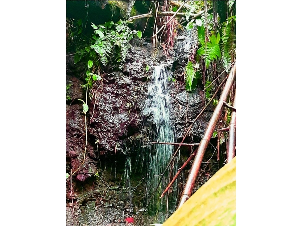 Se vende lote en san jose via la florida — foto 4