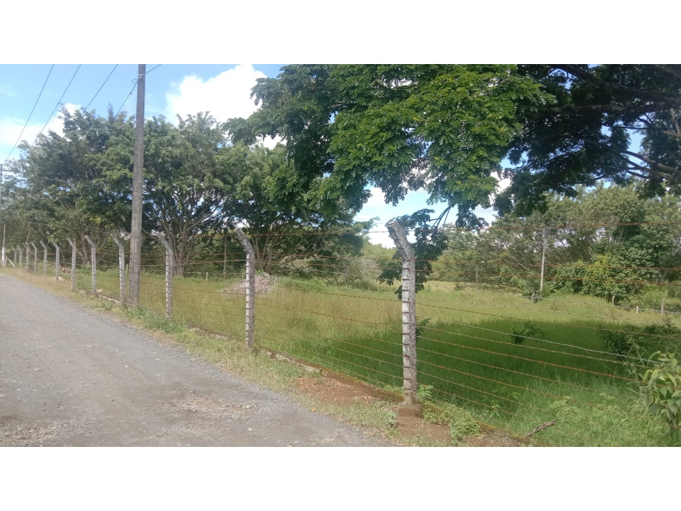 SE VENDE LOTE EN CERRITOS USO COMERCIAL Y RESIDENCIAL