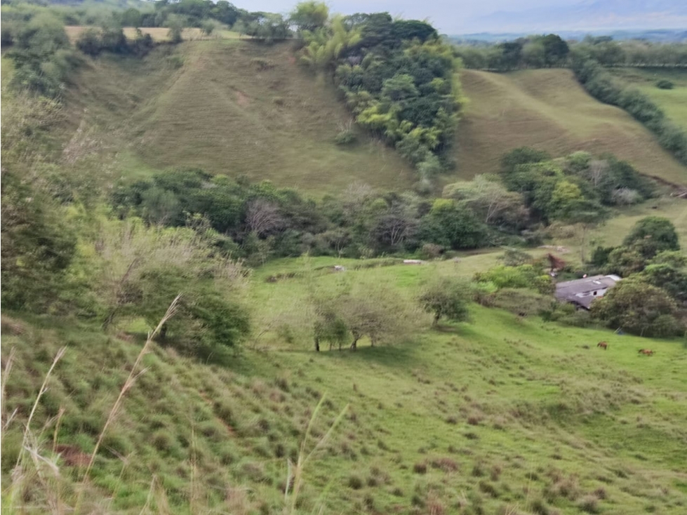 Vendo Finca en Viterbo - Via San Jose — foto 5