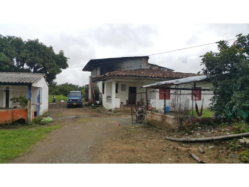 SE VENDE GRAN FINCA EXPORTADORA DE 44 CUADRAS SANTA ROSA