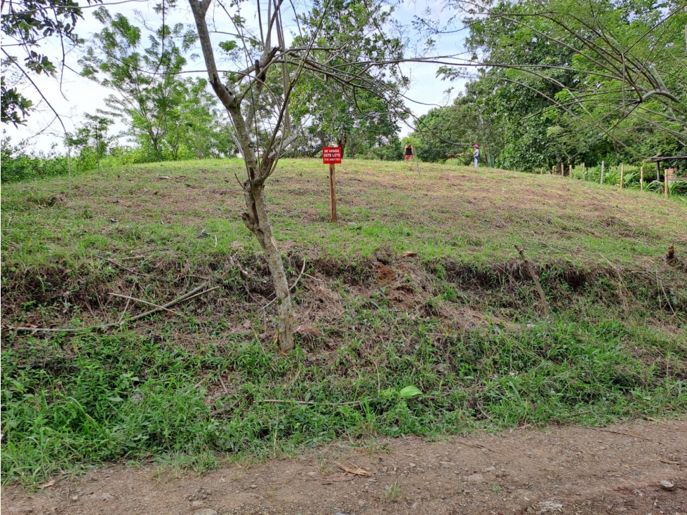 Se vende lote entre belalcazar y viterbo - 4
