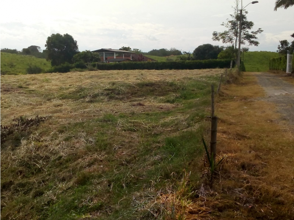 Se Vende Hermoso Lote Excelente Precio La Estrella Vía Alcalá — foto 4