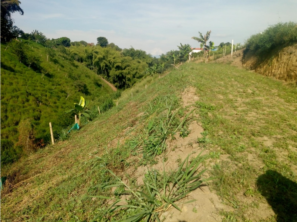 ¡Venta de Terreno en Morelia — foto 3